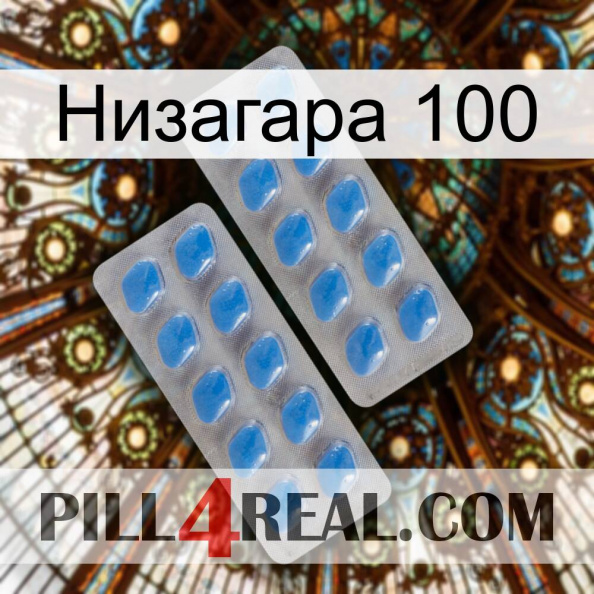 Низагара 100 23.jpg